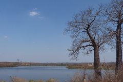 Finca-la-Pica-Recinto-Las-Piedras-Aviturismo